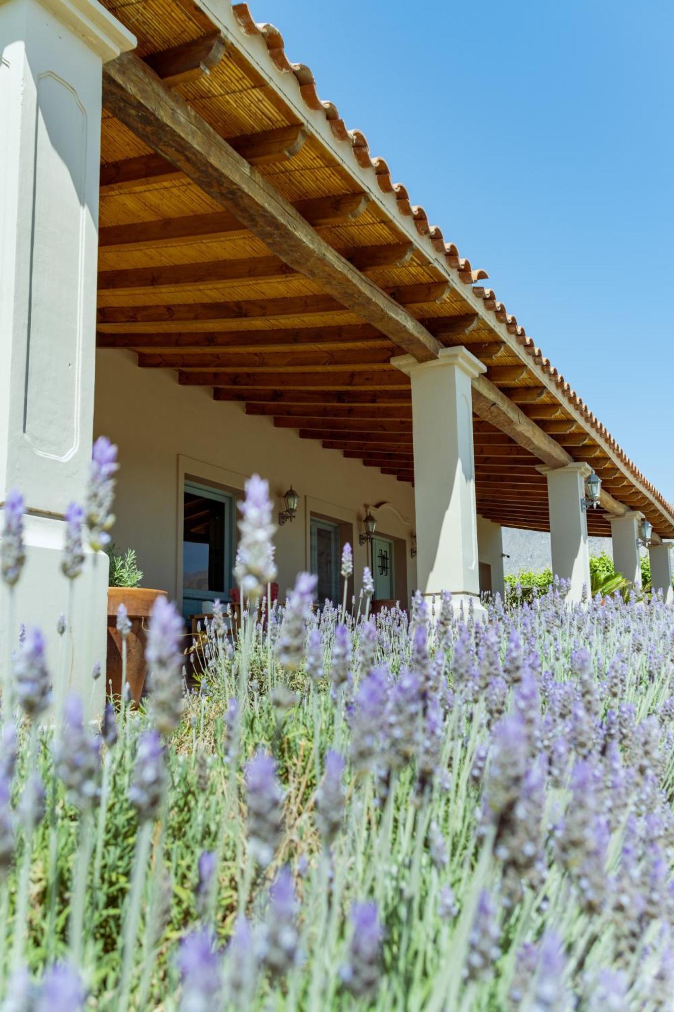 Hotel El Porvenir Wine 5*