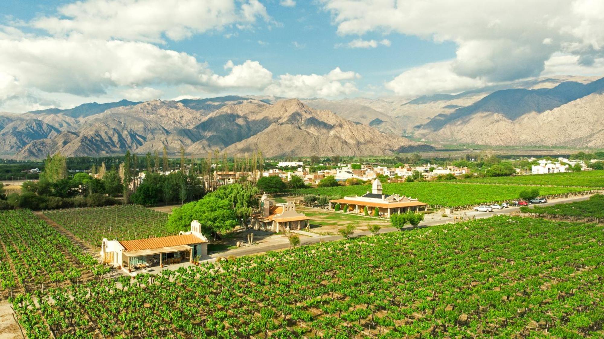 Hotel El Porvenir Wine