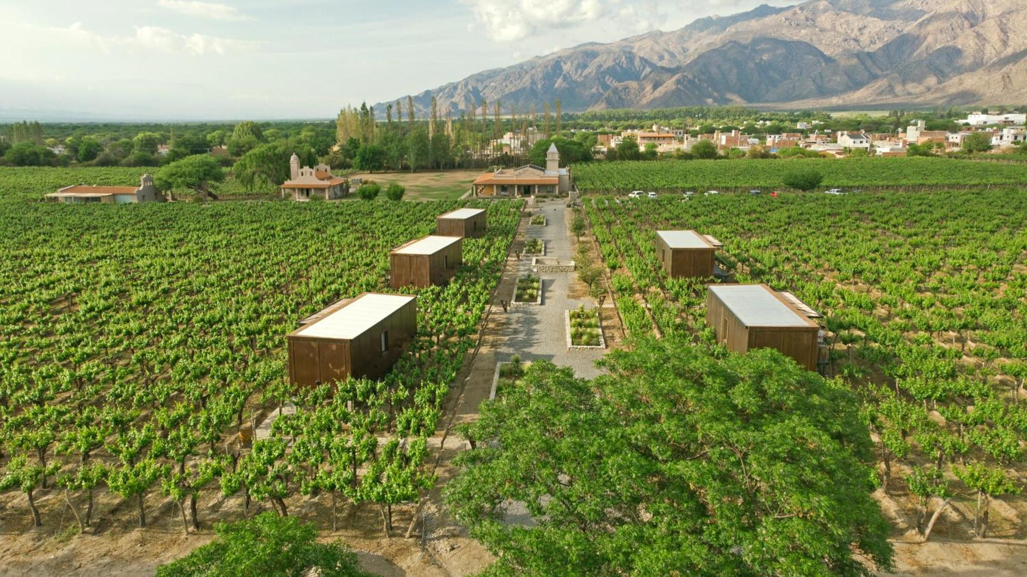 El Porvenir Wine Hotel Cafayate
