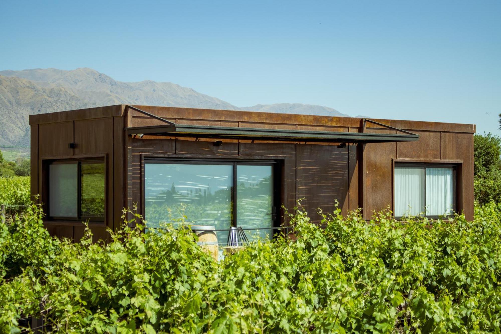 El Porvenir Wine
