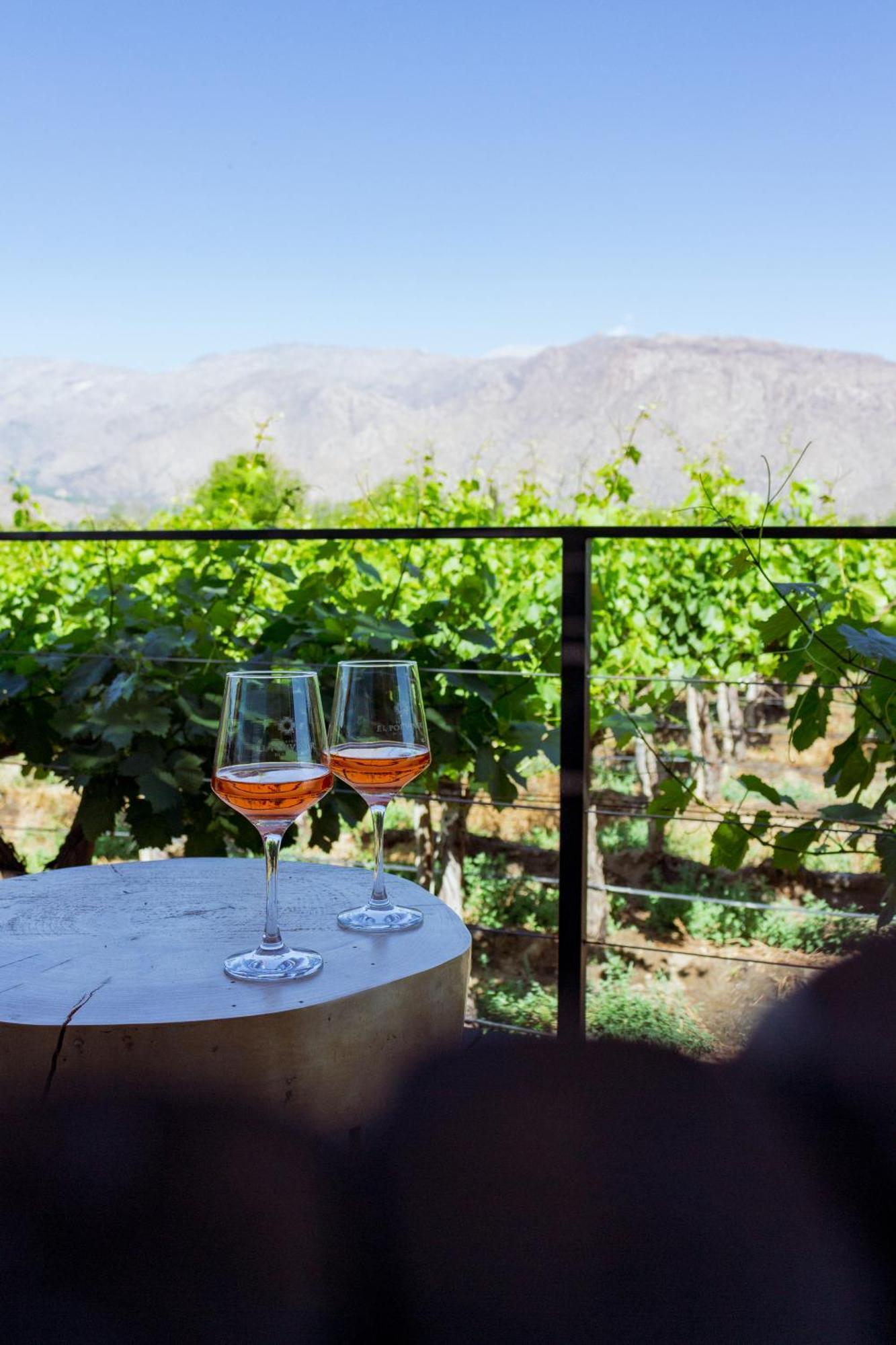 Hotel El Porvenir Wine Cafayate