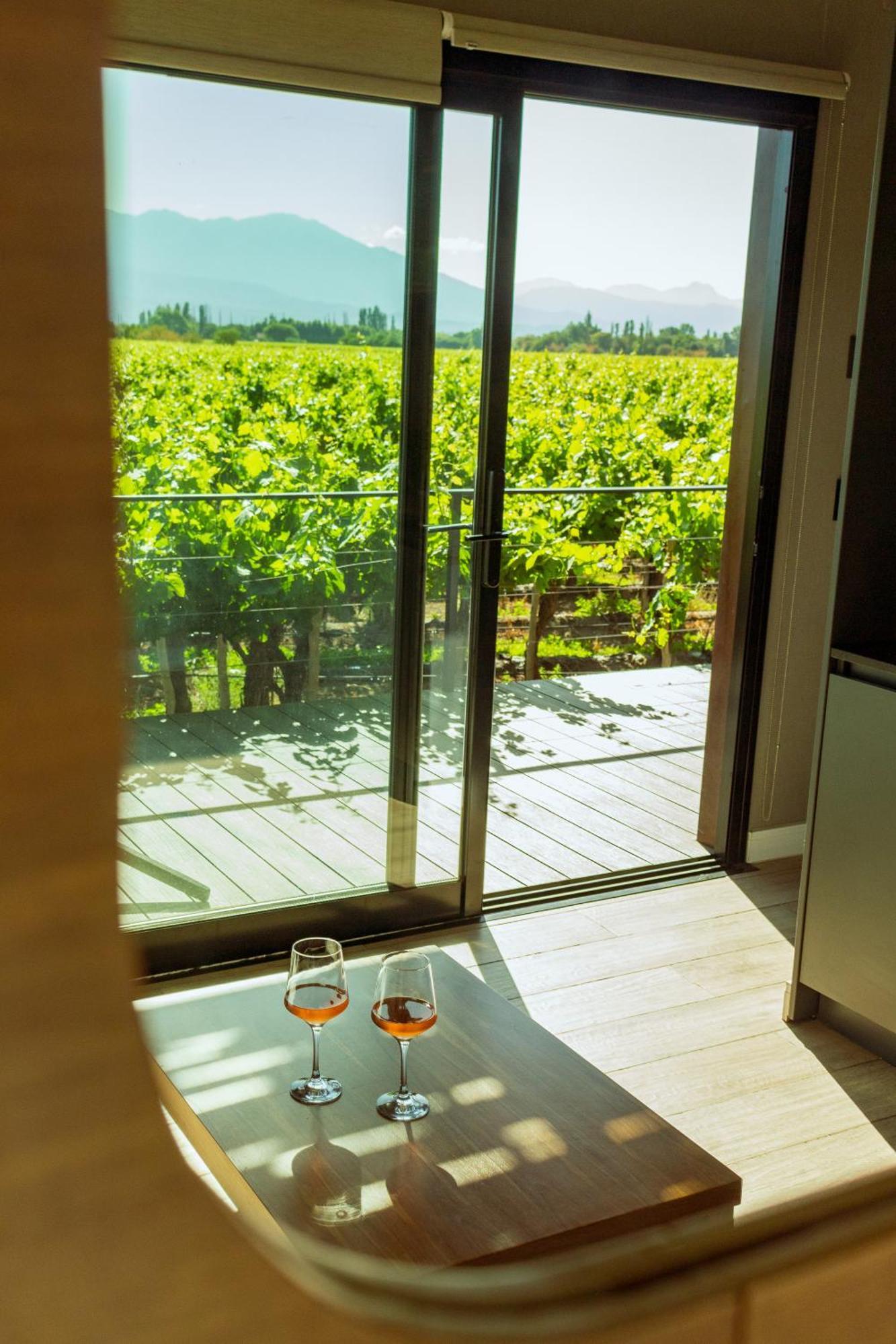 Hotel El Porvenir Wine