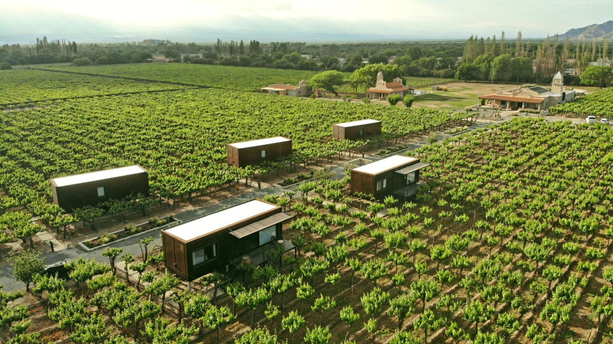 El Porvenir Wine 5*