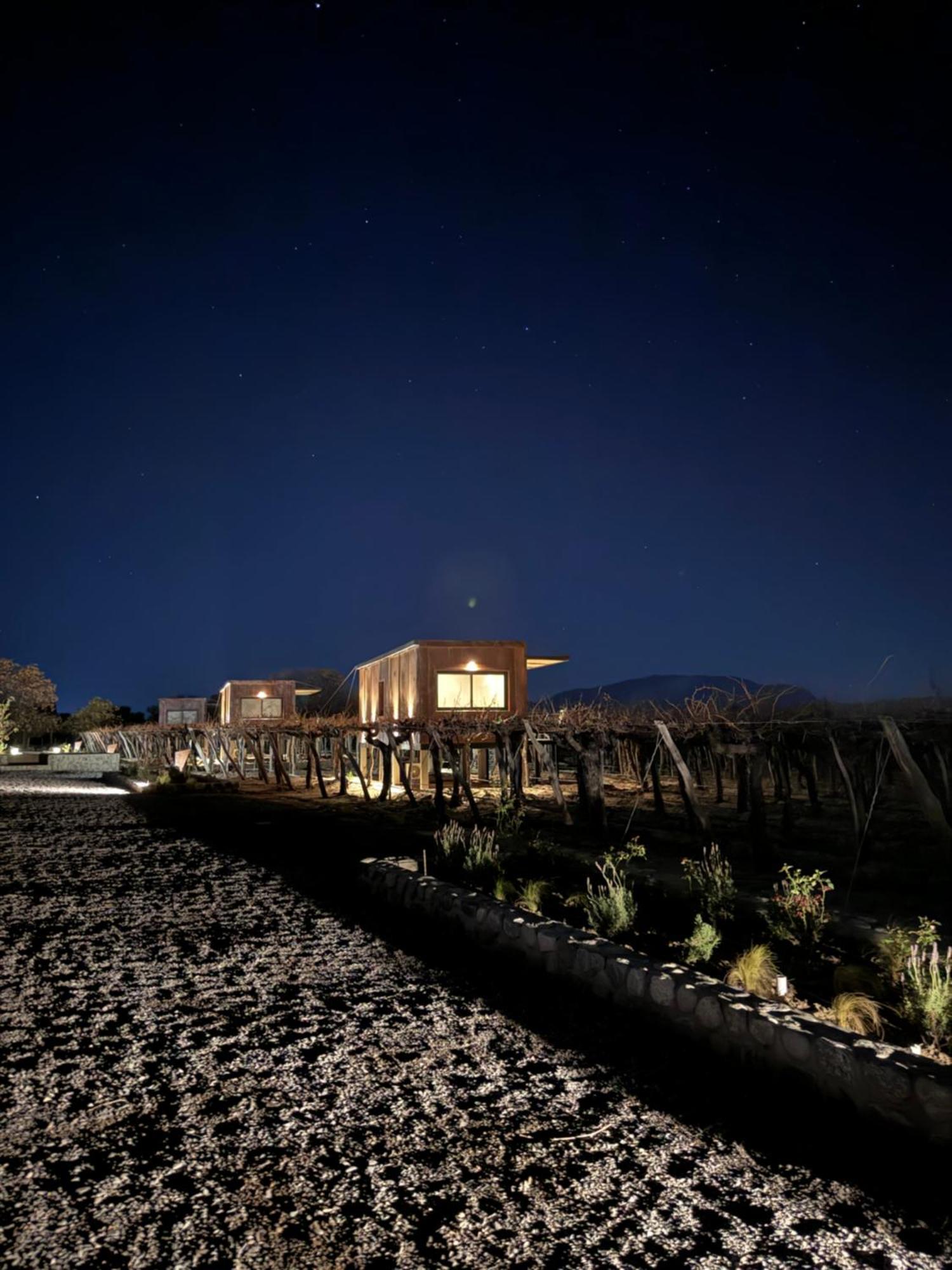 El Porvenir Wine